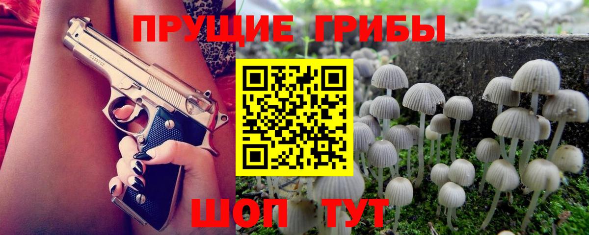 Галлюциногенные грибы ЛСД Черногорск