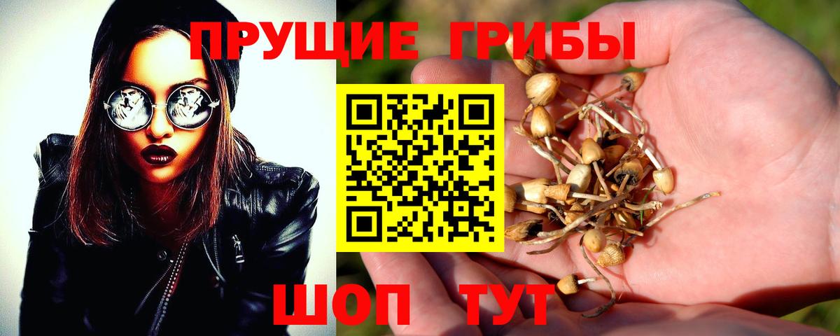 Псилоцибиновые грибы ЛСД  Вход с VPN  Черногорск 